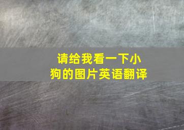 请给我看一下小狗的图片英语翻译