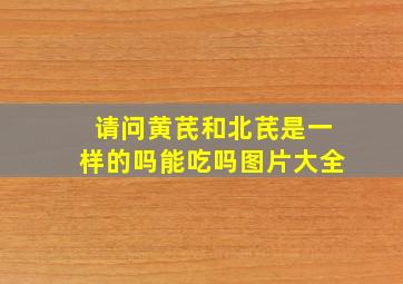 请问黄芪和北芪是一样的吗能吃吗图片大全