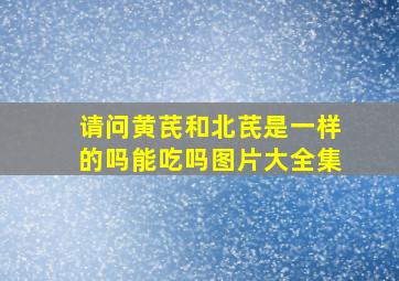 请问黄芪和北芪是一样的吗能吃吗图片大全集