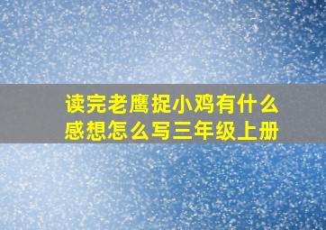 读完老鹰捉小鸡有什么感想怎么写三年级上册