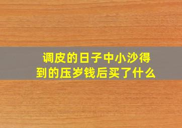 调皮的日子中小沙得到的压岁钱后买了什么