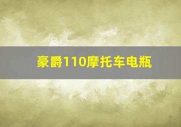 豪爵110摩托车电瓶