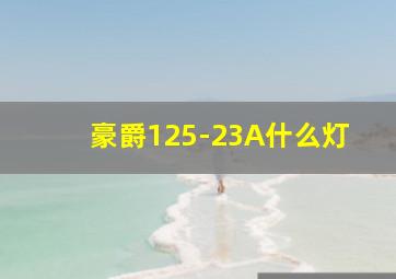 豪爵125-23A什么灯