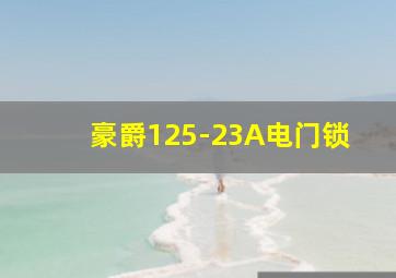 豪爵125-23A电门锁