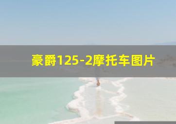 豪爵125-2摩托车图片