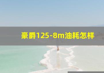 豪爵125-8m油耗怎样