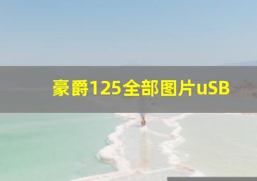 豪爵125全部图片uSB