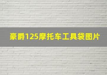 豪爵125摩托车工具袋图片