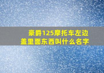 豪爵125摩托车左边盖里面东西叫什么名字