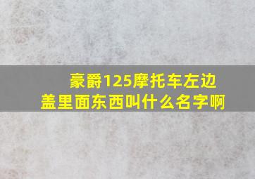 豪爵125摩托车左边盖里面东西叫什么名字啊