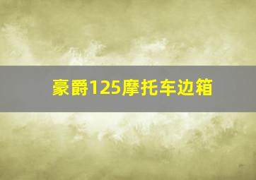 豪爵125摩托车边箱