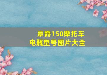 豪爵150摩托车电瓶型号图片大全