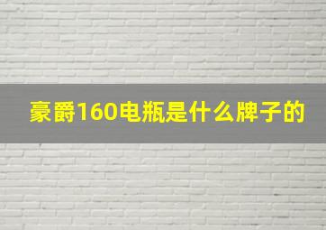 豪爵160电瓶是什么牌子的