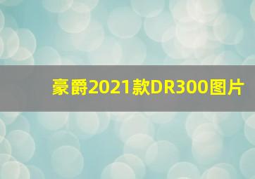 豪爵2021款DR300图片