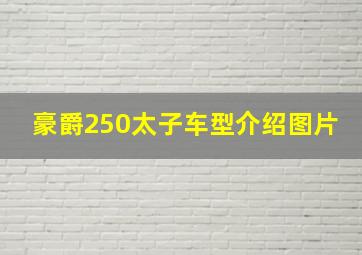 豪爵250太子车型介绍图片