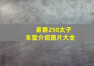 豪爵250太子车型介绍图片大全