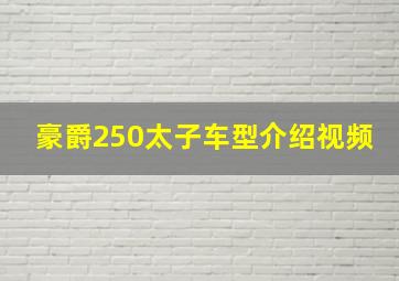 豪爵250太子车型介绍视频