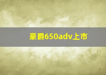 豪爵650adv上市