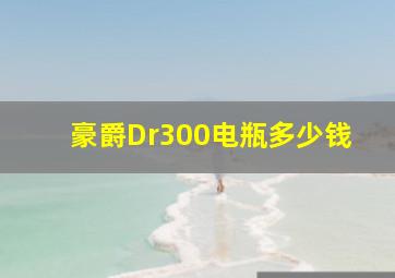 豪爵Dr300电瓶多少钱