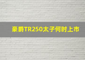 豪爵TR250太子何时上市