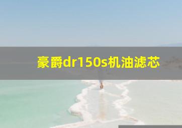 豪爵dr150s机油滤芯