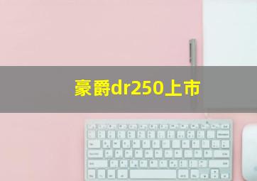 豪爵dr250上市