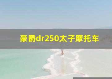 豪爵dr250太子摩托车