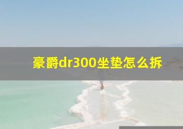 豪爵dr300坐垫怎么拆