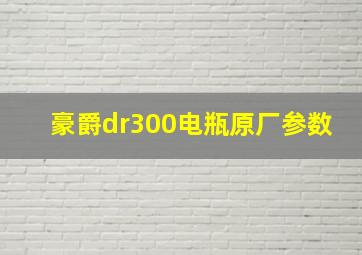 豪爵dr300电瓶原厂参数