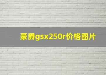 豪爵gsx250r价格图片