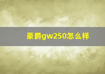 豪爵gw250怎么样