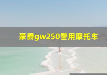 豪爵gw250警用摩托车