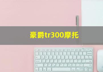 豪爵tr300摩托