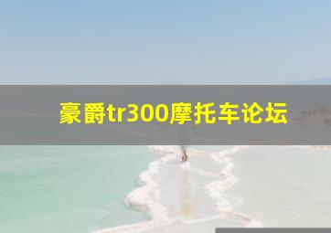 豪爵tr300摩托车论坛