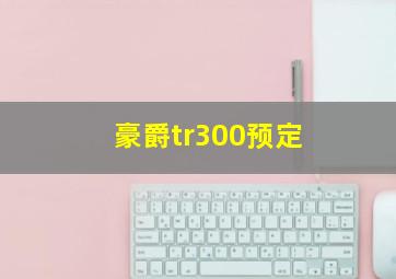 豪爵tr300预定