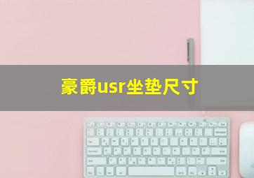 豪爵usr坐垫尺寸