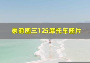 豪爵国三125摩托车图片