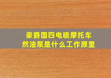 豪爵国四电喷摩托车然油泵是什么工作原里