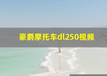 豪爵摩托车dl250视频