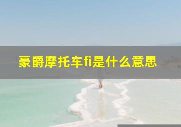 豪爵摩托车fi是什么意思