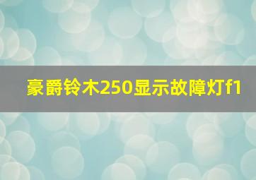 豪爵铃木250显示故障灯f1