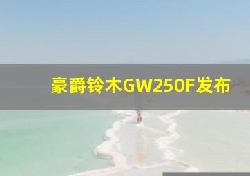 豪爵铃木GW250F发布