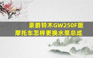 豪爵铃木GW250F版摩托车怎样更换水泵总成