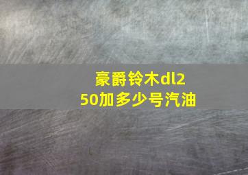 豪爵铃木dl250加多少号汽油