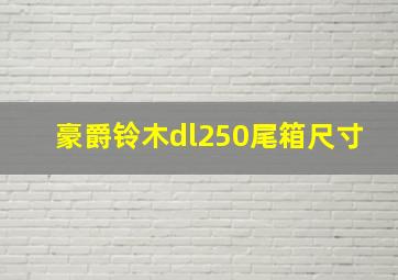 豪爵铃木dl250尾箱尺寸