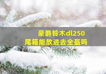 豪爵铃木dl250尾箱能放进去全盔吗