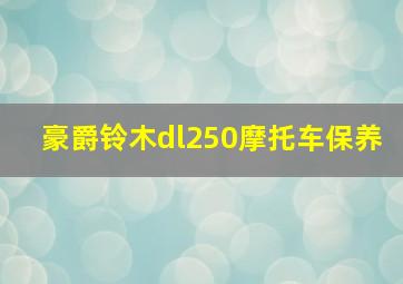 豪爵铃木dl250摩托车保养