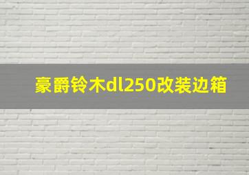 豪爵铃木dl250改装边箱