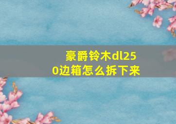 豪爵铃木dl250边箱怎么拆下来