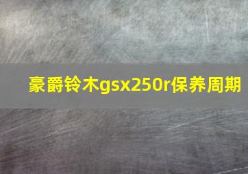 豪爵铃木gsx250r保养周期